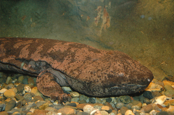 4月に行きたい遊び場＆イベント7選【関東】 | HugMug