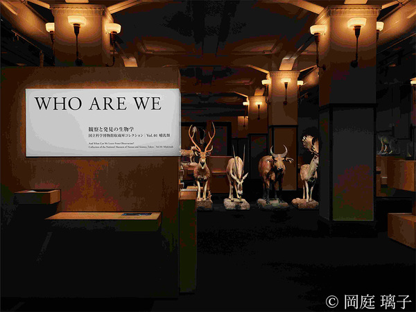 4月に行きたい遊び場＆イベント7選【関東】 | HugMug