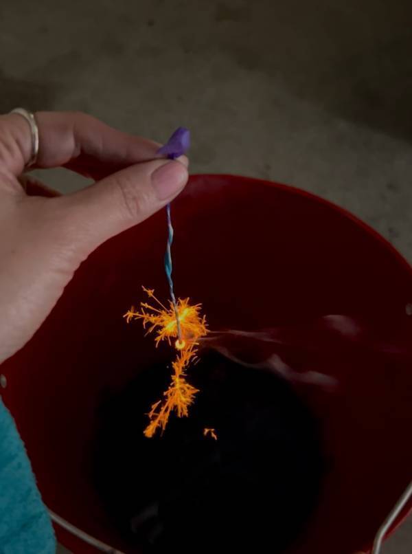 子連れでも楽しめる【南山梨ツアー】徹底レポ！ 編集部で行ってみた | HugMug