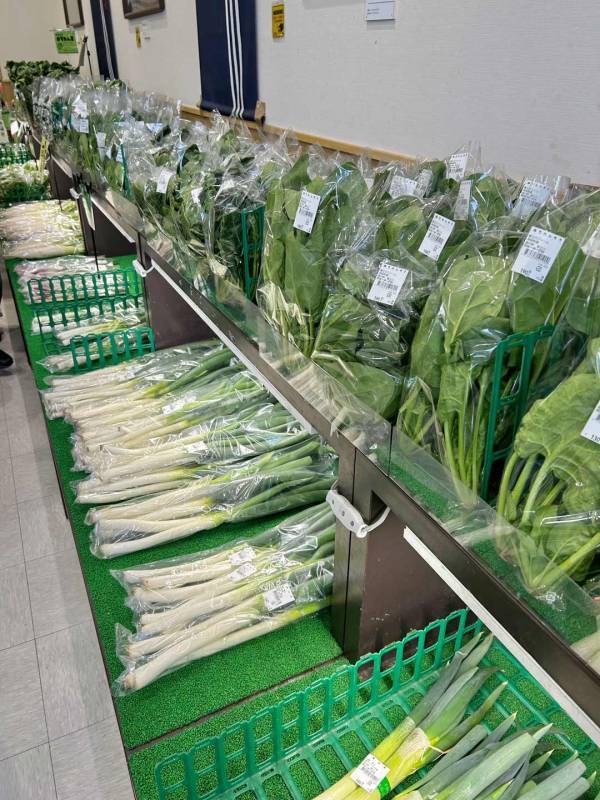 子連れでも楽しめる【南山梨ツアー】徹底レポ！ 編集部で行ってみた | HugMug