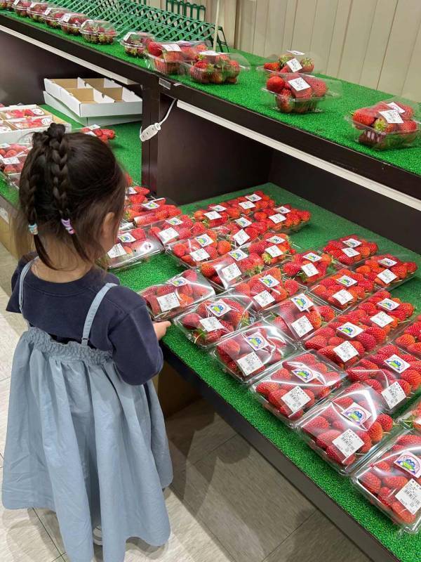 子連れでも楽しめる【南山梨ツアー】徹底レポ！ 編集部で行ってみた | HugMug