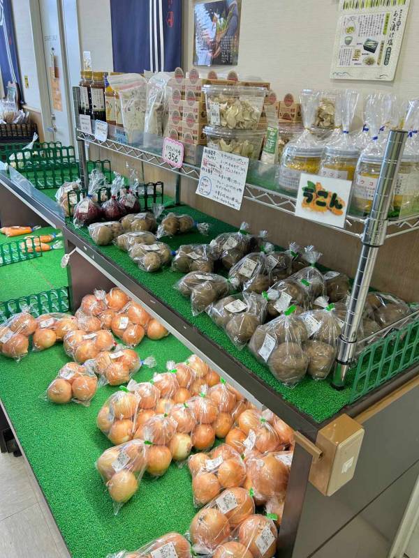 子連れでも楽しめる【南山梨ツアー】徹底レポ！ 編集部で行ってみた | HugMug