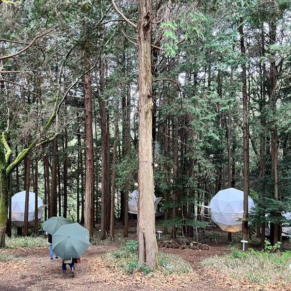 泊まれる公園！？「INN THE PARK 沼津」宿泊レポ！ 食事やアクティビティも充実 | HugMug