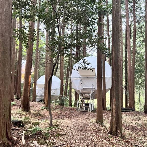 泊まれる公園！？「INN THE PARK 沼津」宿泊レポ！ 食事やアクティビティも充実 | HugMug