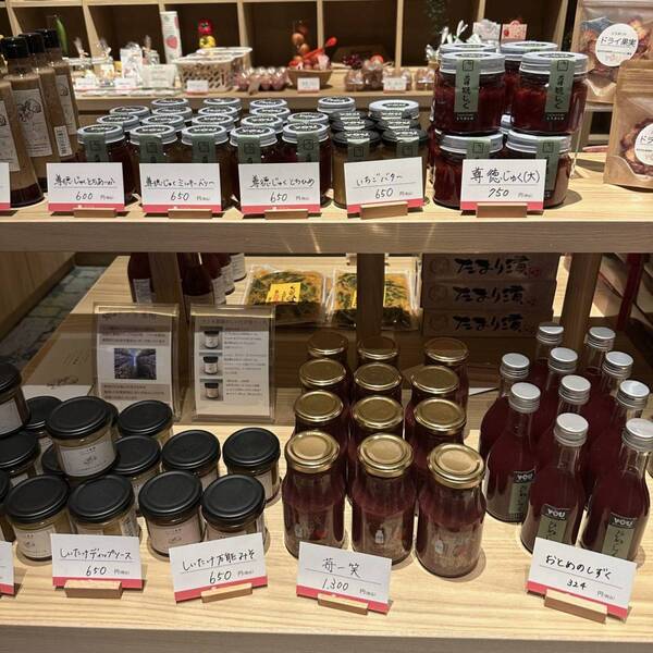 新オープン「真岡いがらし温泉 おふろカフェ いちごの湯」がカフェ・キッズスペース・レストランなど完備で1日中遊べる！ | HugMug