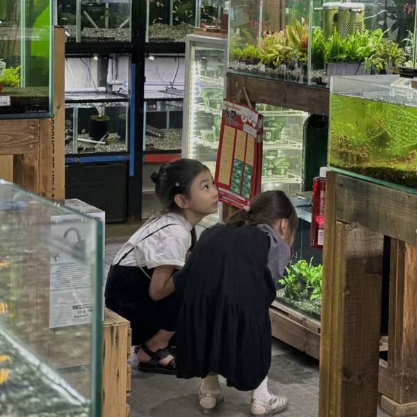 植物買うならここ！都内最大級「オザキフラワーパーク」がおすすめ！ | HugMug