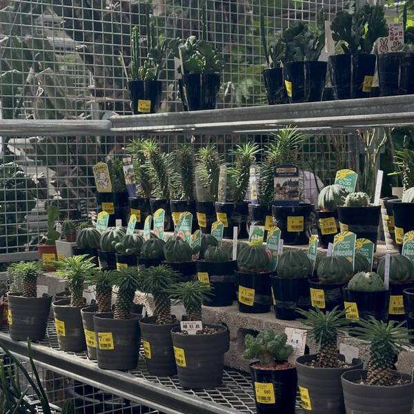 植物買うならここ！都内最大級「オザキフラワーパーク」がおすすめ！ | HugMug