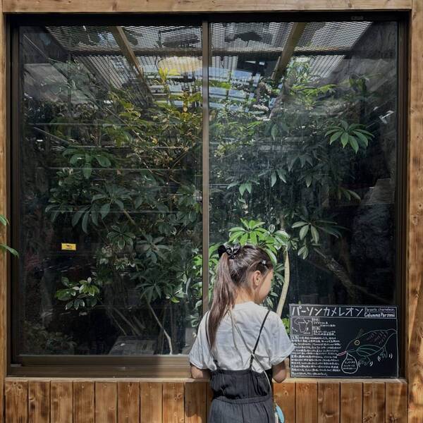 植物買うならここ！都内最大級「オザキフラワーパーク」がおすすめ！ | HugMug