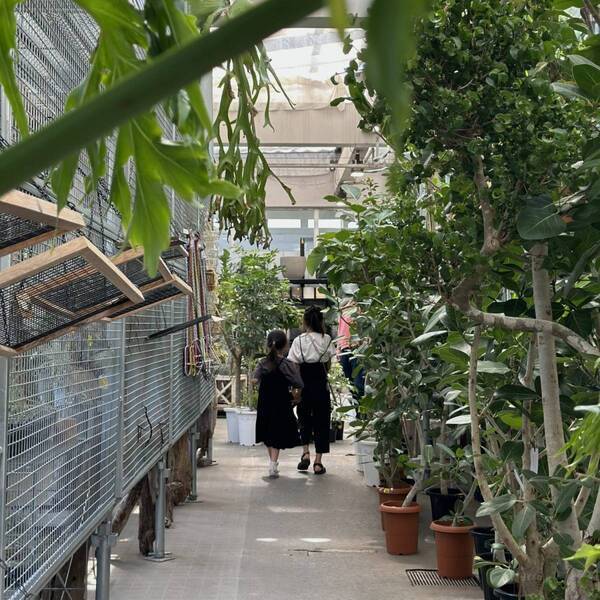 植物買うならここ！都内最大級「オザキフラワーパーク」がおすすめ！ | HugMug