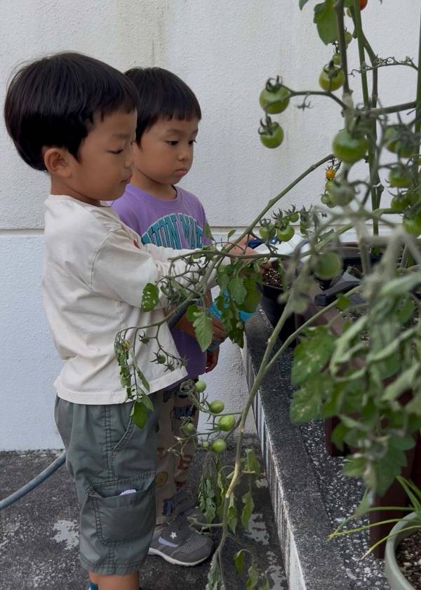 「子どもと家庭菜園に挑戦！」武智志穂の沖縄でのんびり双子育児 Vol.56 | HugMug