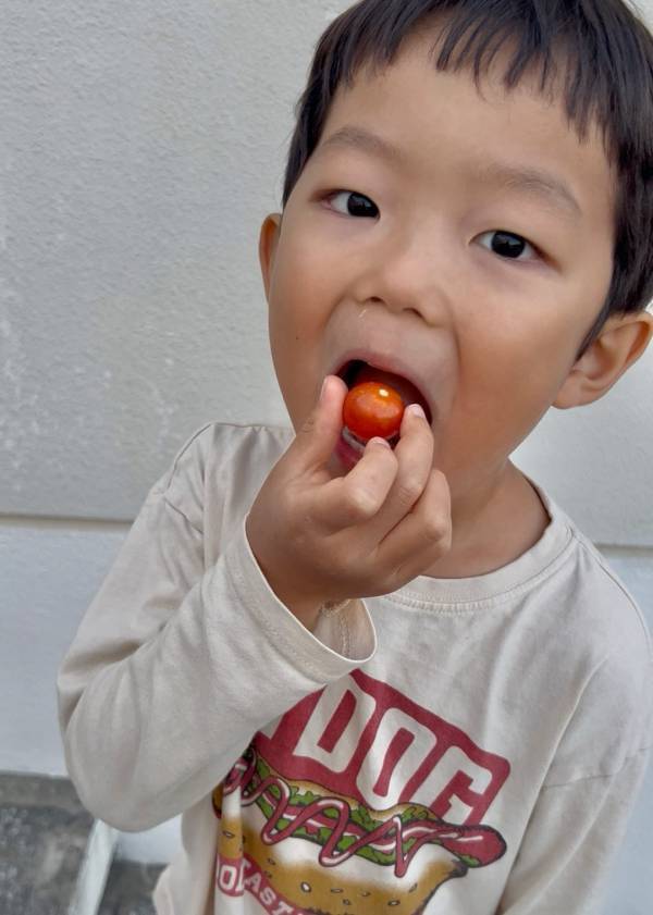 「子どもと家庭菜園に挑戦！」武智志穂の沖縄でのんびり双子育児 Vol.56 | HugMug