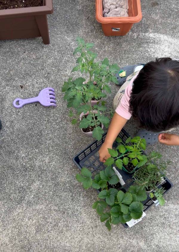 「子どもと家庭菜園に挑戦！」武智志穂の沖縄でのんびり双子育児 Vol.56 | HugMug