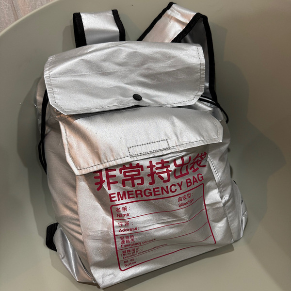 我が家の防災バッグはほぼ100均！バッグの中身大公開＆おすすめ購入品を徹底レビュー | HugMug