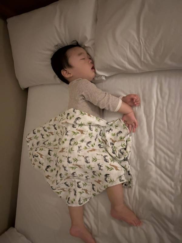 【ディズニーランド】空いてる日はいつ？1歳児＆妊婦が極力並ばず楽しむ方法 | HugMug