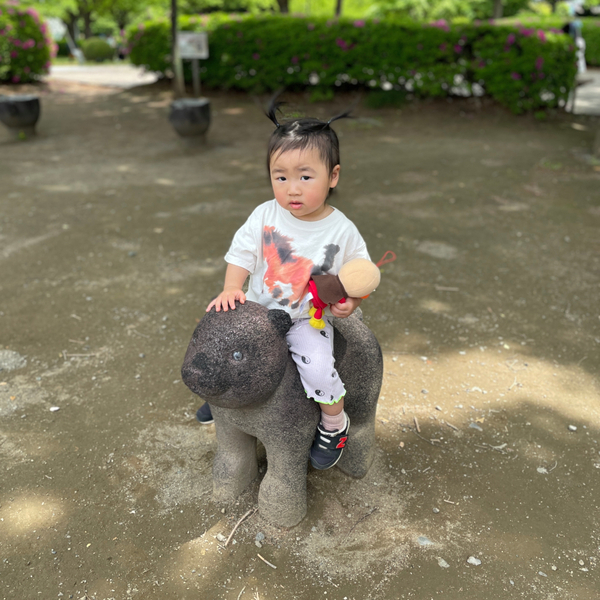 群馬日帰りドライブにオススメ！【伊勢崎市】の一日中遊べる公園からオシャレSHOP、ジェラートまで | HugMug