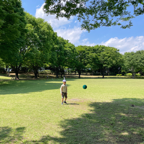 群馬日帰りドライブにオススメ！【伊勢崎市】の一日中遊べる公園からオシャレSHOP、ジェラートまで | HugMug