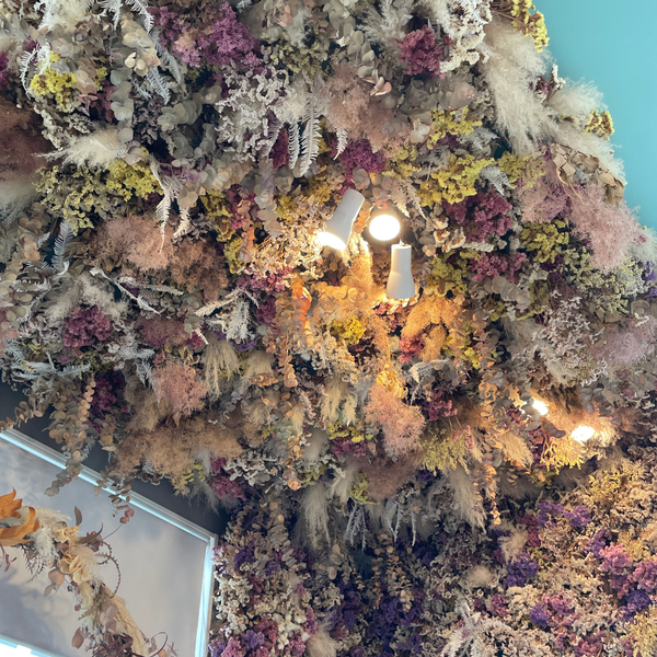 群馬日帰りドライブにオススメ！【伊勢崎市】の一日中遊べる公園からオシャレSHOP、ジェラートまで | HugMug