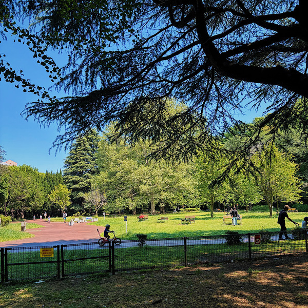 【1時間210円】手ぶらでサイクリング！自転車デビューは『代々木公園サイクリングセンター』がおすすめ | HugMug