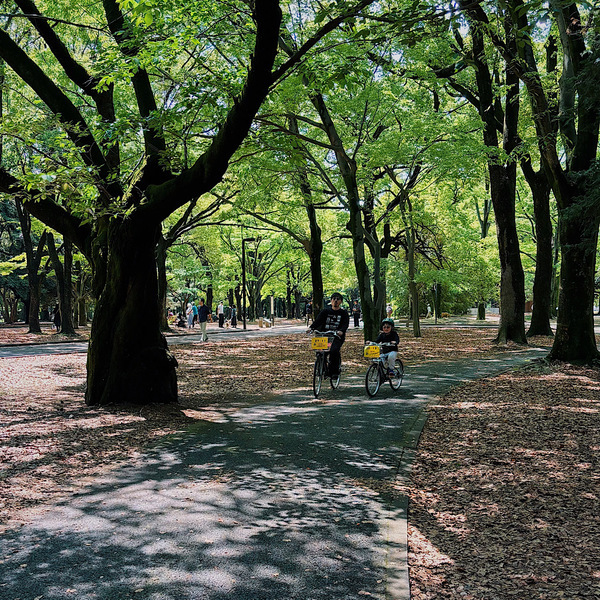【1時間210円】手ぶらでサイクリング！自転車デビューは『代々木公園サイクリングセンター』がおすすめ | HugMug