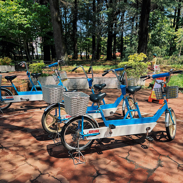 【1時間210円】手ぶらでサイクリング！自転車デビューは『代々木公園サイクリングセンター』がおすすめ | HugMug