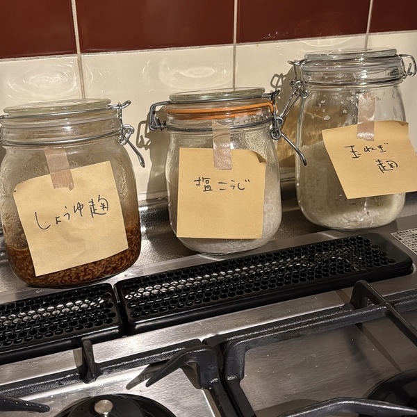 甘酒や塩麹、味噌などの発酵調味料がボタンひとつで！【TANIKA】ヨーグルトメーカー | HugMug