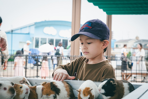 親子で行く電車さんぽ【東京さくらトラム（都電荒川線）編】 | HugMug