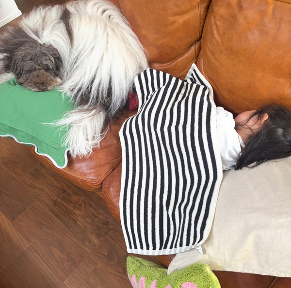 新登場【3COINS】の「SHIMA！SHIMA！タオル」がコスパ最高で超可愛い！ | HugMug