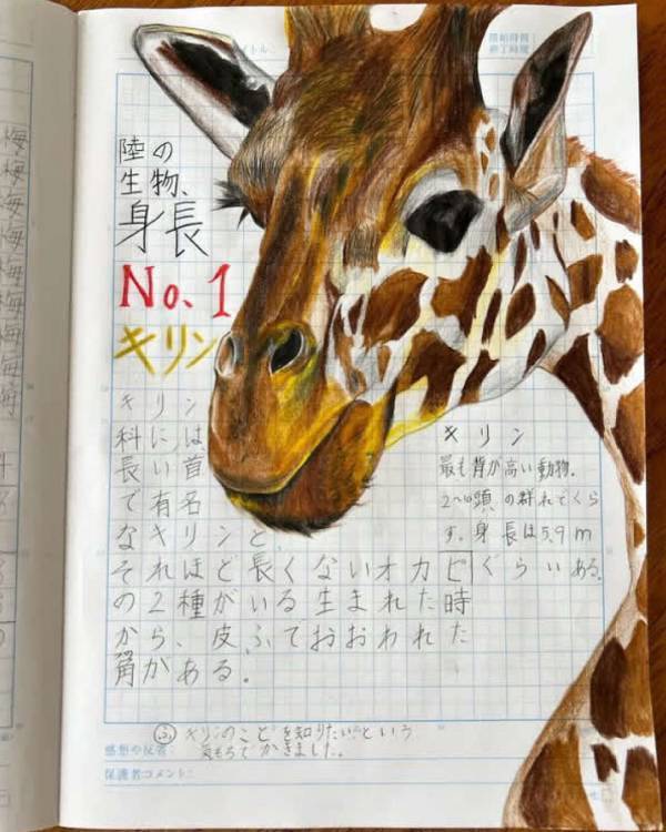 【“天才キッズ”に密着！】DJ・ダンス・アートを極める3人の異才 | HugMug