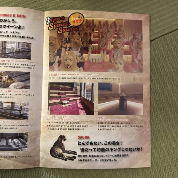 泳げる！潜れる！飛び込みOK！？【関東最大級スパ】King&amp;Queenが子連れで最高に楽しめる | HugMug