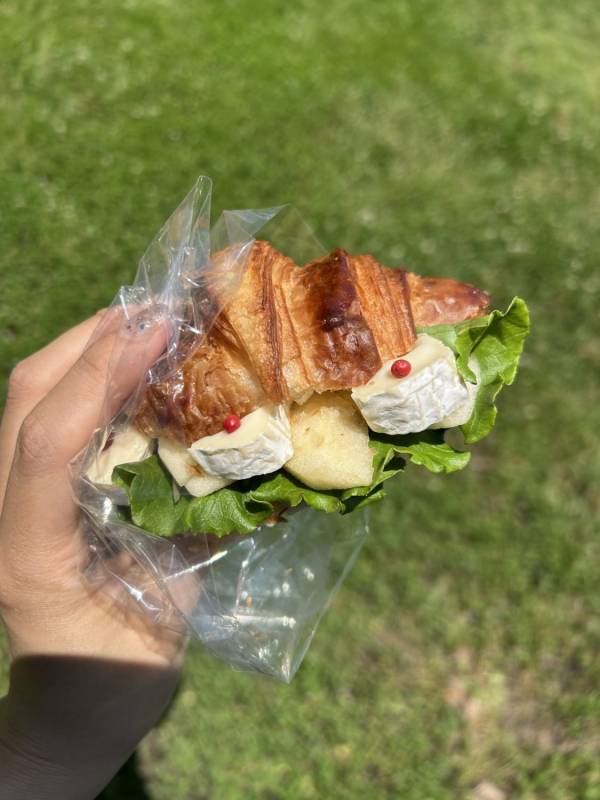 入園料600円でこの充実度！？ 横浜「こどもの国」の遊具・動物・乗り物を全部レポ | HugMug