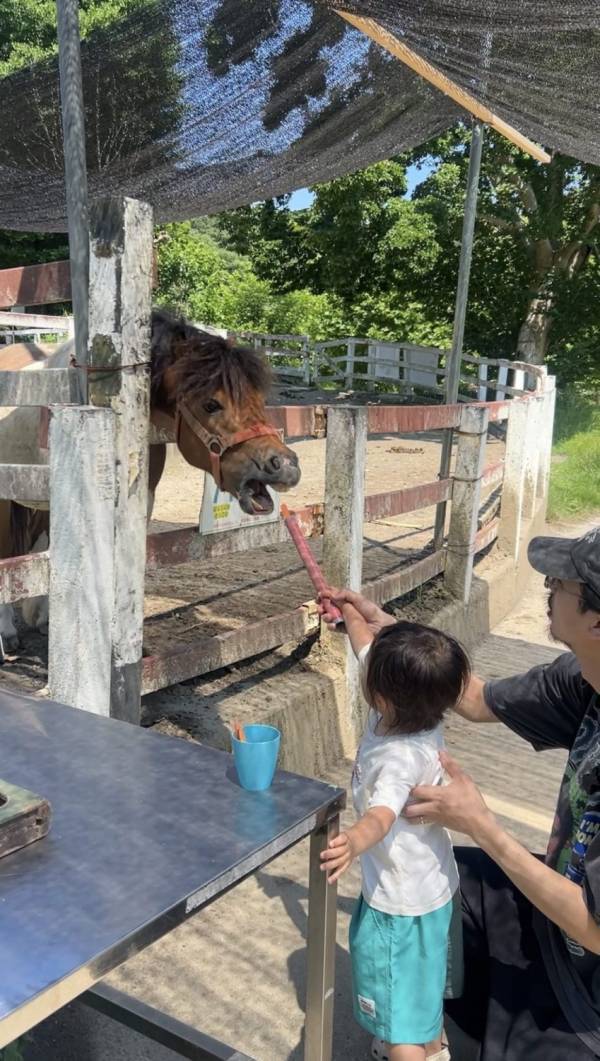 入園料600円でこの充実度！？ 横浜「こどもの国」の遊具・動物・乗り物を全部レポ | HugMug