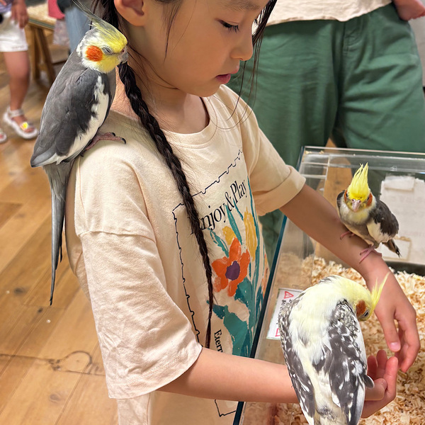 【入場料800円】再入場OKの「いきもの探検隊」で動物ふれあい体験レポ | HugMug