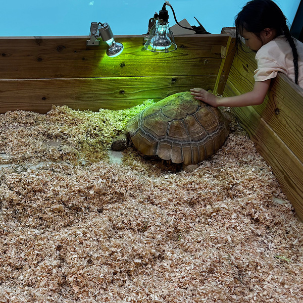 【入場料800円】再入場OKの「いきもの探検隊」で動物ふれあい体験レポ | HugMug