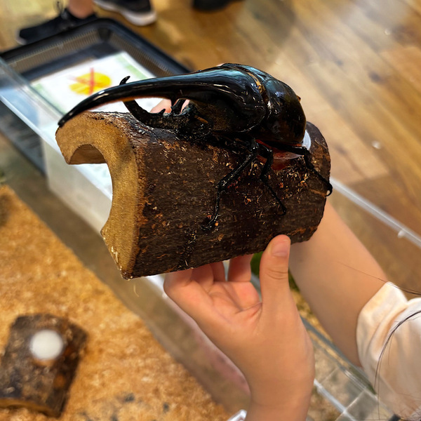 【入場料800円】再入場OKの「いきもの探検隊」で動物ふれあい体験レポ | HugMug