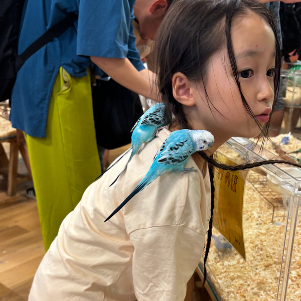 【入場料800円】再入場OKの「いきもの探検隊」で動物ふれあい体験レポ | HugMug