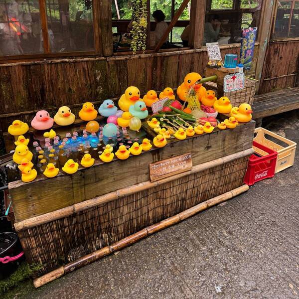 【幼児300円】涼しい滝の側で流しそうめん食べ放題！＆魚釣りも楽しめる最高スポット」 | HugMug