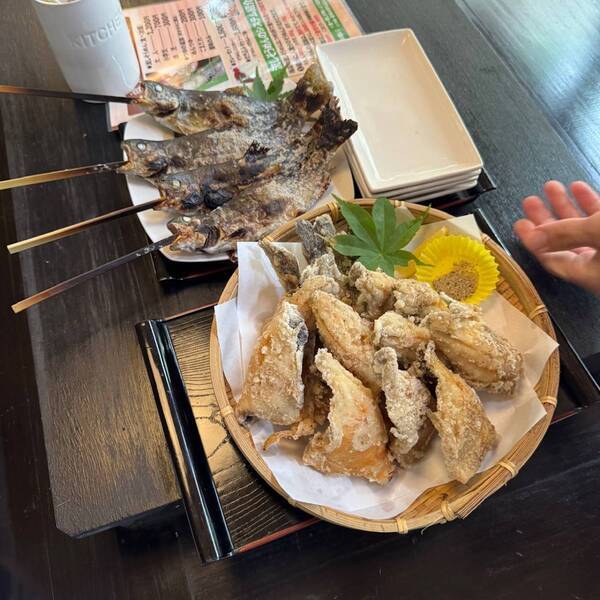 【幼児300円】涼しい滝の側で流しそうめん食べ放題！＆魚釣りも楽しめる最高スポット」 | HugMug