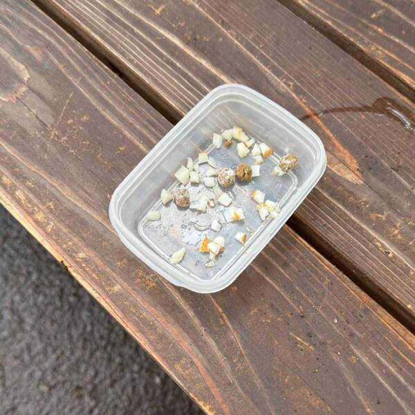 【幼児300円】涼しい滝の側で流しそうめん食べ放題！＆魚釣りも楽しめる最高スポット」 | HugMug