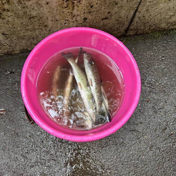 【幼児300円】涼しい滝の側で流しそうめん食べ放題！＆魚釣りも楽しめる最高スポット」 | HugMug