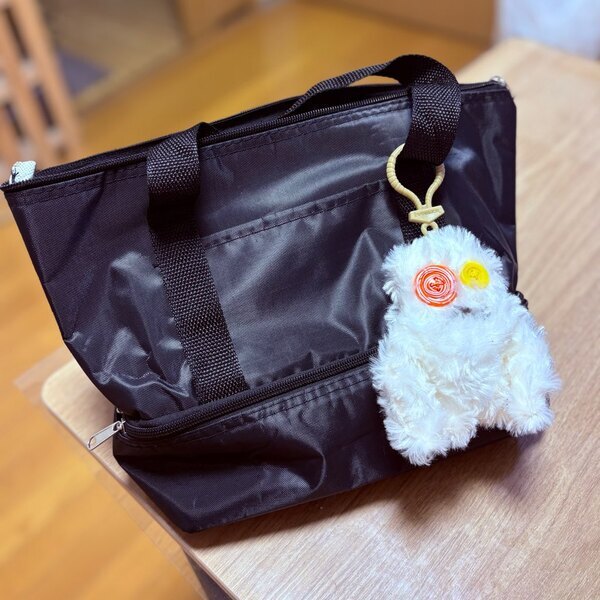 【DAISO】ペットボトル2本+お弁当も入る！330円の二段式保冷バッグが万能すぎ | HugMug