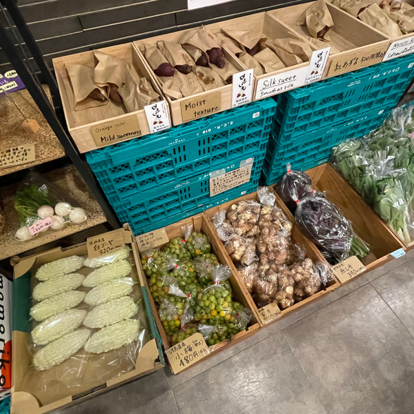 豊洲市場が超進化！市場の見学から食べ歩き&amp;足湯まで【千客万来】の全貌を徹底レポ | HugMug