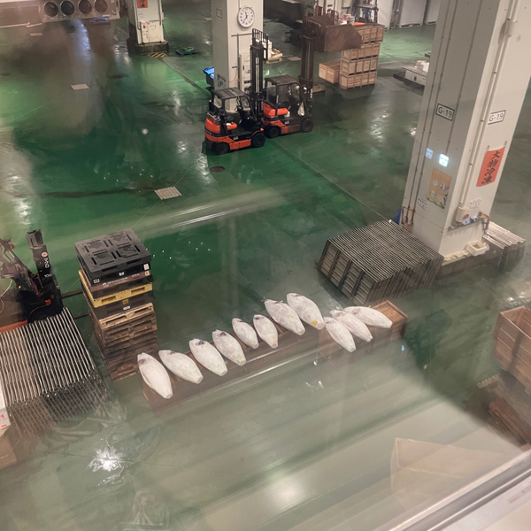 豊洲市場が超進化！市場の見学から食べ歩き&amp;足湯まで【千客万来】の全貌を徹底レポ | HugMug