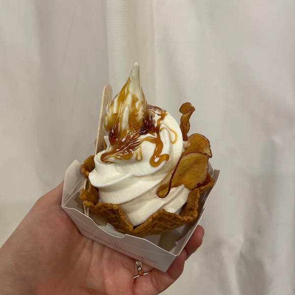 豊洲市場が超進化！市場の見学から食べ歩き&amp;足湯まで【千客万来】の全貌を徹底レポ | HugMug