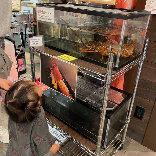 豊洲市場が超進化！市場の見学から食べ歩き&amp;足湯まで【千客万来】の全貌を徹底レポ | HugMug