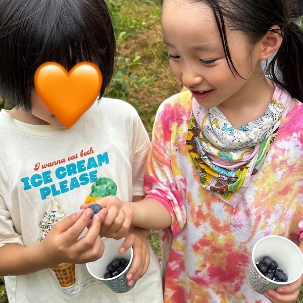 【千葉】湧き水＆ブルーベリー農園でBBQ！「いっせんぼく Camp field」が子連れデイキャンプに最高すぎる！ | HugMug