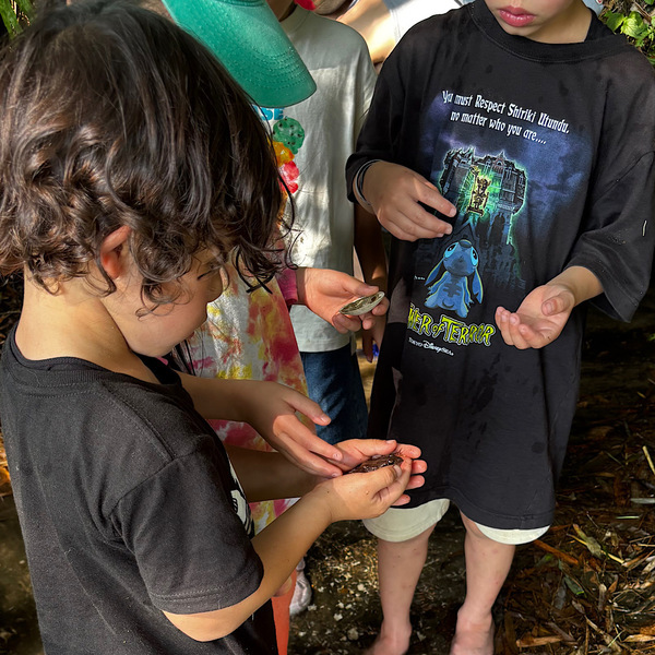 【千葉】湧き水＆ブルーベリー農園でBBQ！「いっせんぼく Camp field」が子連れデイキャンプに最高すぎる！ | HugMug