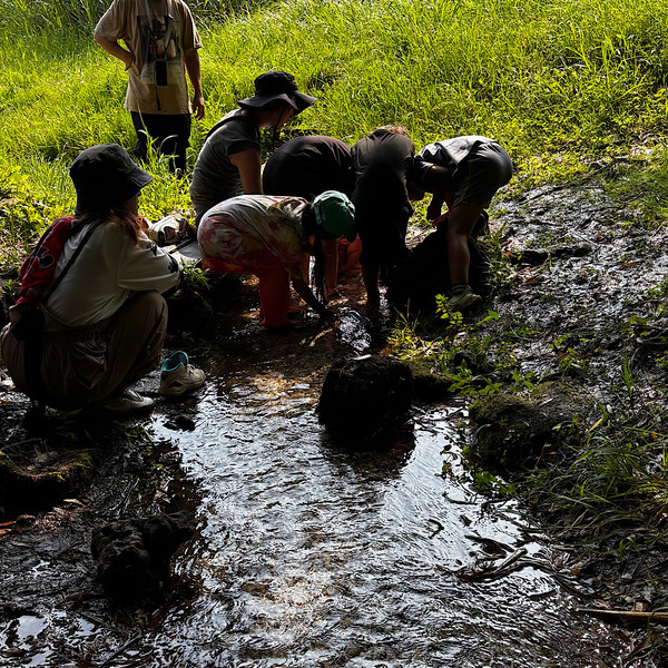 【千葉】湧き水＆ブルーベリー農園でBBQ！「いっせんぼく Camp field」が子連れデイキャンプに最高すぎる！ | HugMug