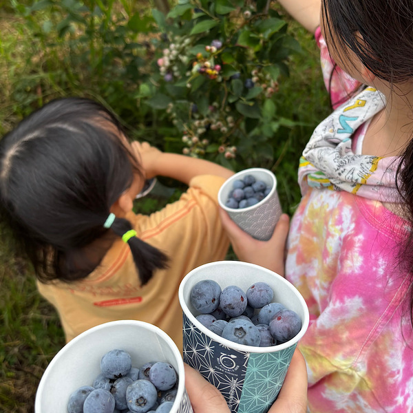 【千葉】湧き水＆ブルーベリー農園でBBQ！「いっせんぼく Camp field」が子連れデイキャンプに最高すぎる！ | HugMug