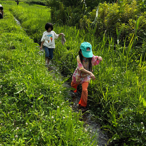 【千葉】湧き水＆ブルーベリー農園でBBQ！「いっせんぼく Camp field」が子連れデイキャンプに最高すぎる！ | HugMug