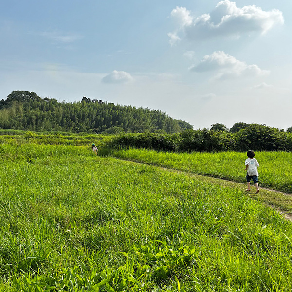 【千葉】湧き水＆ブルーベリー農園でBBQ！「いっせんぼく Camp field」が子連れデイキャンプに最高すぎる！ | HugMug
